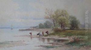 Coastline With Cattle