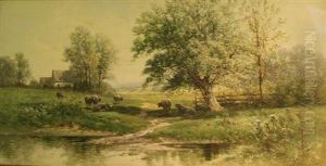 Sheep Grazing Beside A Stream