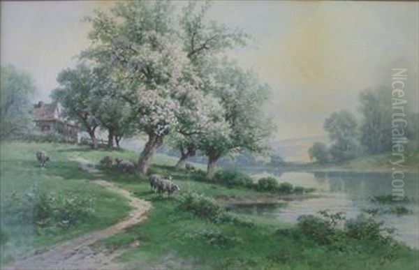 Sheep Grazing Under A Cherry Blossom Tree - view 1