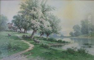 Sheep Grazing Under A Cherry Blossom Tree by Carl Weber