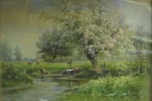 Cows Grazing By A Stream