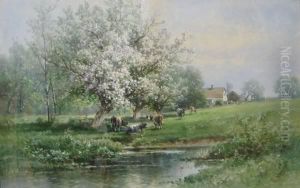 Cows By A Stream