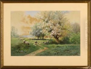 Landscape With Sheep