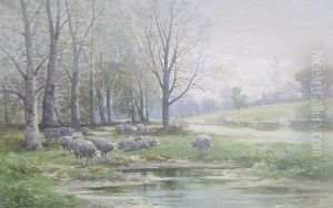 Sheep By A Stream