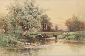 Cattle By A Stream