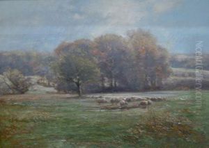 Sheep In A Landscape