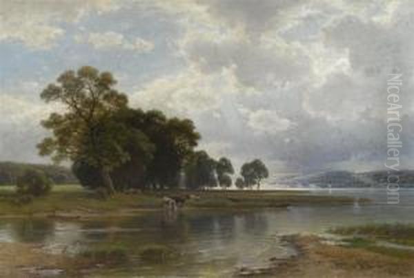 Cows At The Ammersee Lake - view 1