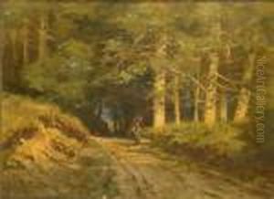 Sonnendurchfluteter Waldweg Mit Reisigsammlerin Sonnendurchfluteter Waldweg Mit Reisigsammlerin
