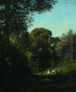 Waldlandschaft Waldlandschaft