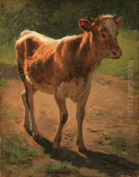 Spring Calf - view 1