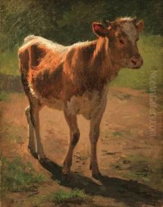 Spring Calf