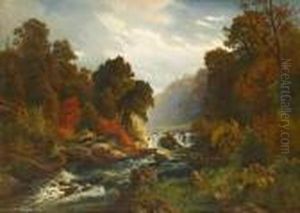 Woodland Creek, Autumn Woodland Creek, Autumn