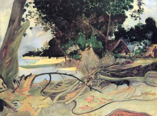 The thick tree - view 1