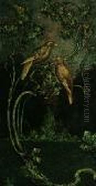 Two Birds Perched In A Tree - view 1