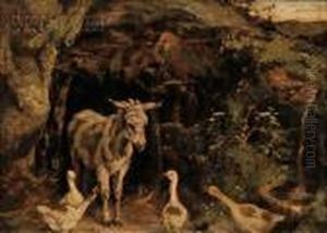 Donkey And Geese