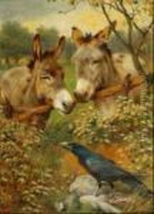 Twodonkeys And A Carrion Crow