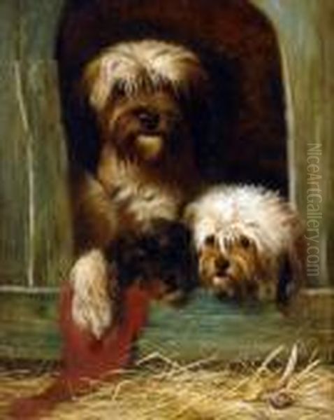 Kennel Companions - view 1