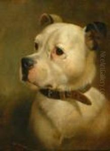 Portrait Of An English Mastiff. Signed And Dated Lower Left: W. Weekes 1860