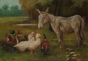 A Donkey With Ducks A Donkey With Ducks