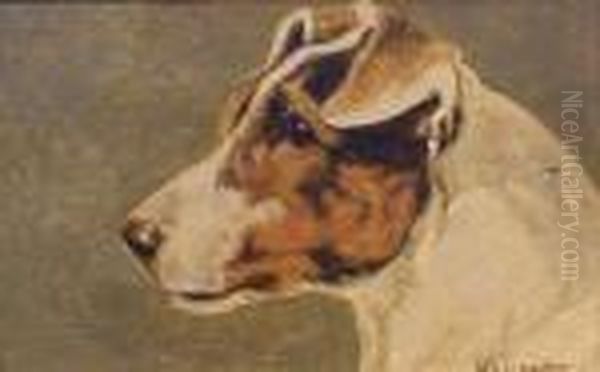 Smooth Fox Terrier - view 1