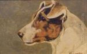 Smooth Fox Terrier by Herbert William Weekes