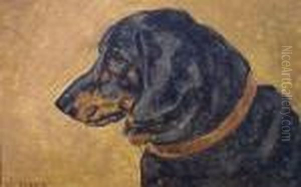 Black And Tan Dachshund - view 1