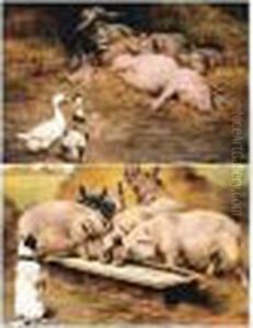 Sleeping Pigs; Pigs At The Trough