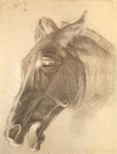 Etude D'une Tete De Cheval by Jean-Joseph Weerts