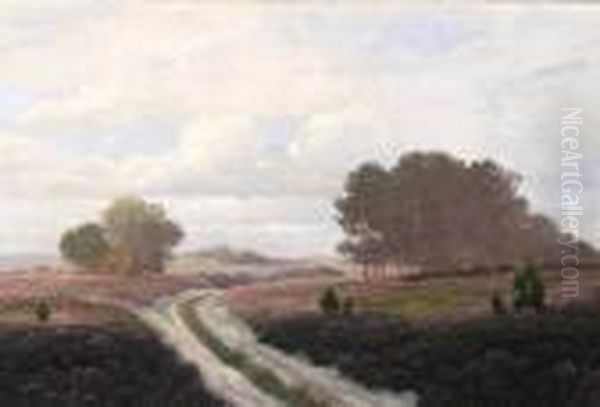 Otto, H - view 1