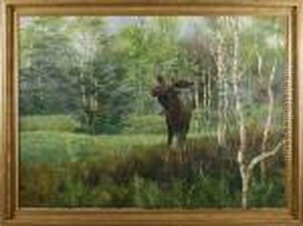 Untitled - view 1