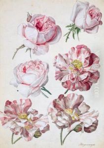 Studio Di Rose by Sebastian Wegmayr