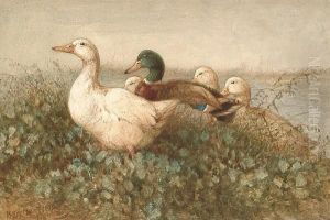 Ducks Near A Pond by Harrison William Weir