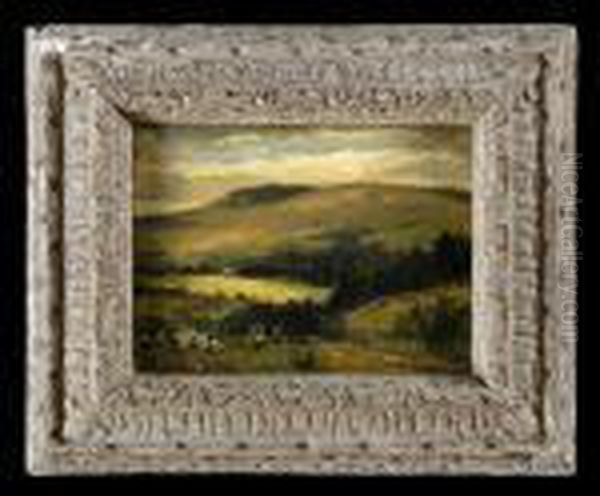 Hillside Landscape - view 1