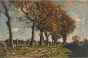 A Peaceful Sunlit Landscape