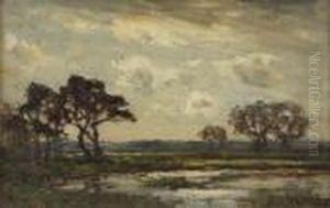 Trees Beside A Pond Under Cloudy Skies by Jose Weiss