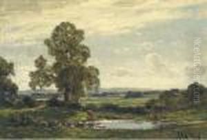 Summer Landscape by Jose Weiss