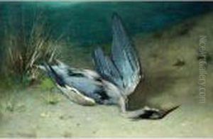 A Heron