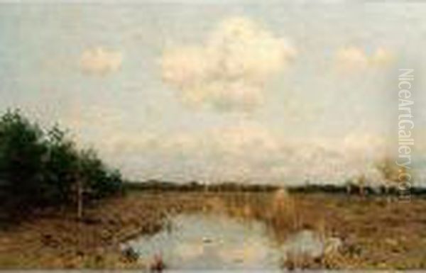 A View Of A Landscape - view 1