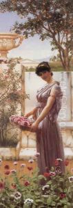 The Flowers Of Venus