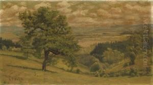 The Welch Ranch In The Marin Hills by Ludmilla P. Welch