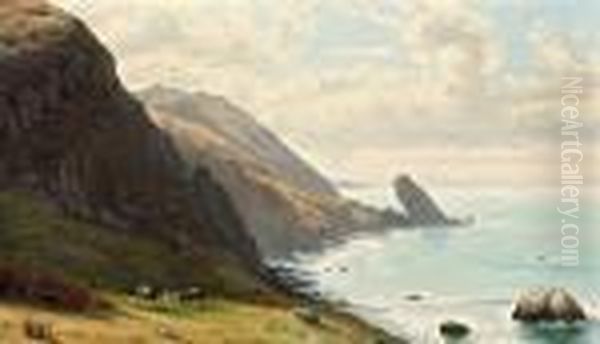 Coastal View With Cattle Grazing - view 1