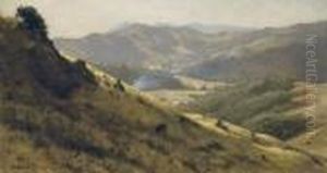 Marin Hills by Thaddeus Welch