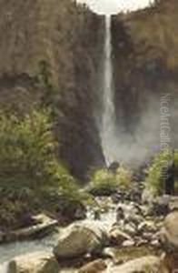 Summer Stream And Cascading Falls by Thaddeus Welch