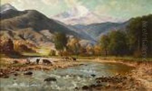 Sierra Pasture