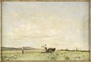 Ploughing