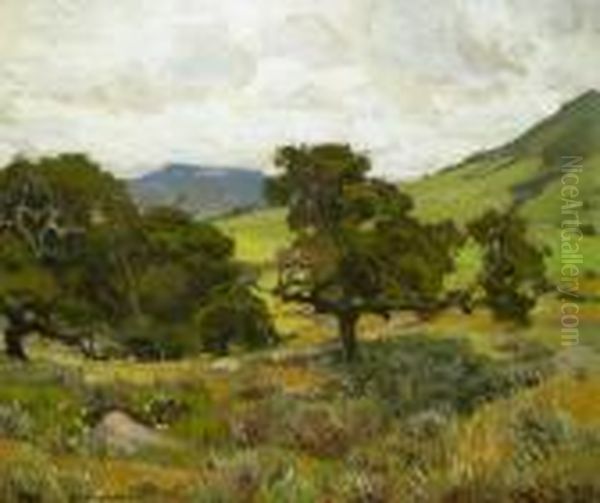 California Hills - view 1