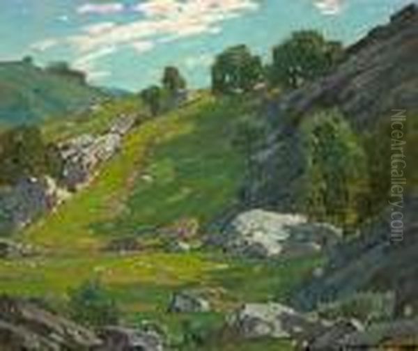 The Cow Trail - view 1