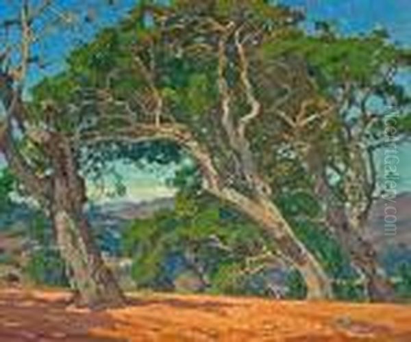 The Hilltop - view 1