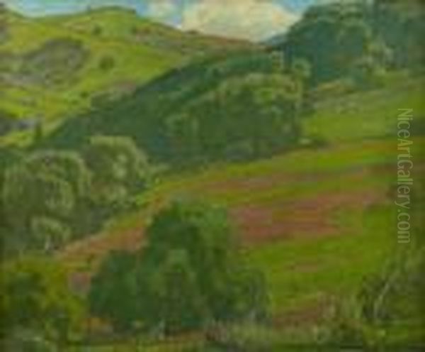 Trees Along The Foothills - view 1