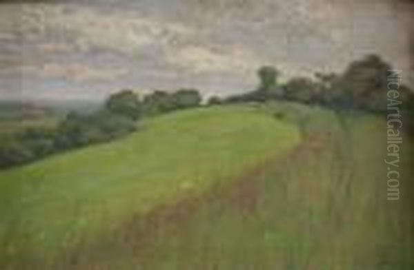 View Of California Hilltop - view 1
